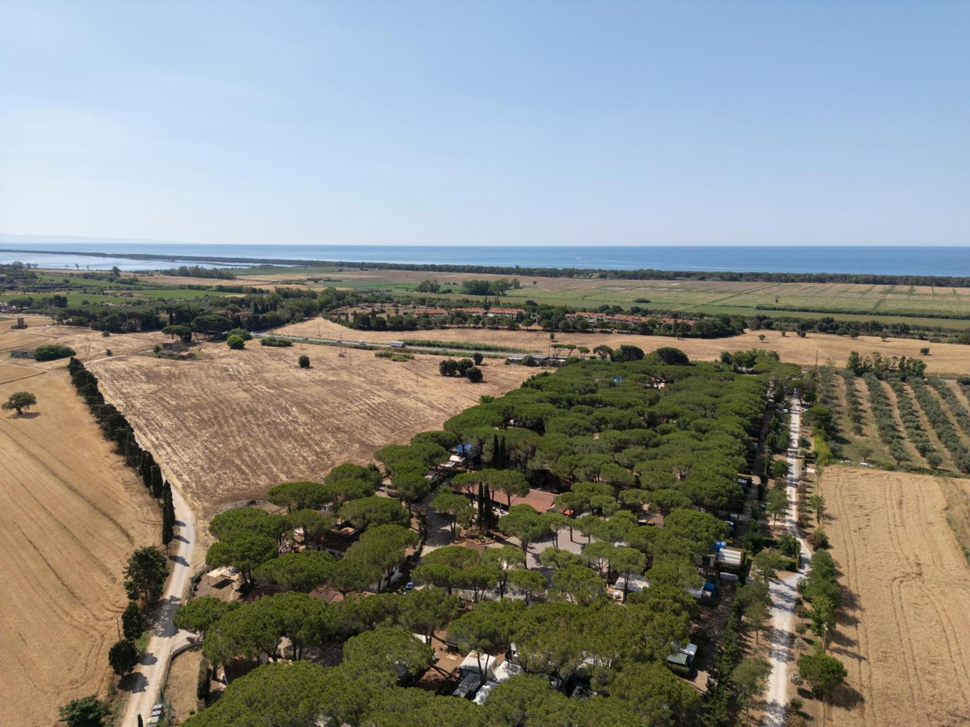 Costa D'Argento - Camping Village Club Capalbio Eksteriør bilde